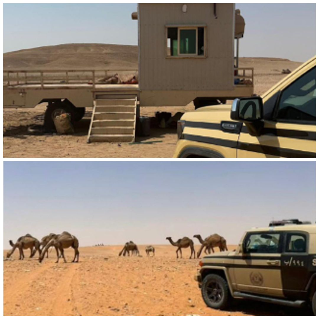 55551-1024x1024 غرامة 500 ريال ومخالفة الرعي والتخييم في محميات ملكية