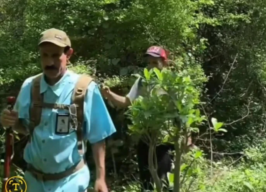 IMG_2769-1024x739 الحَلفة و«نافية» و«شطّ الصبايا» و«سوق السبت».. ذاكرة الجنوب الغربي من فيفاء من الهمداني إلى الهايكنج وسياحة اليوم